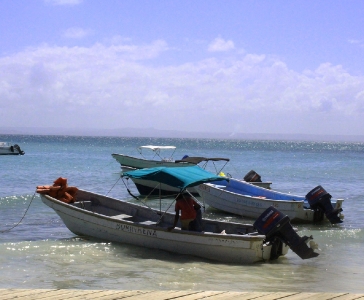 Cayo levantado de Samaná_17