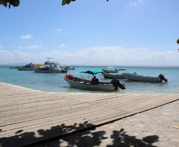 Cayo levantado de Samaná_18