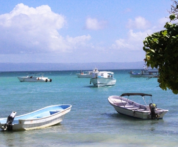 Cayo levantado de Samaná_21