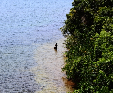 El Puente de Santa Bárbara de Samaná_10