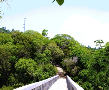 El Puente de Santa Bárbara de Samaná_2