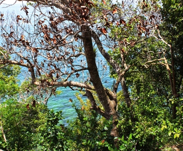 El Puente de Santa Bárbara de Samaná_5