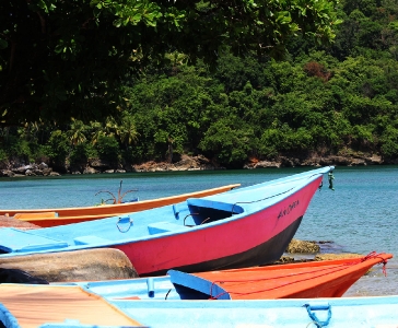 Los Cacaos de Santa Bárbara de Samaná_1