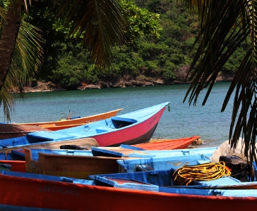 Los Cacaos de Santa Bárbara de Samaná_2