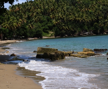 Los Cacaos de Santa Bárbara de Samaná_4